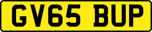 GV65BUP