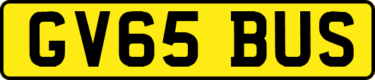GV65BUS