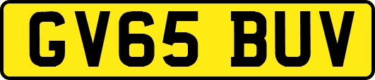 GV65BUV