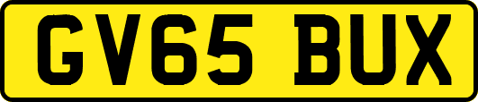 GV65BUX
