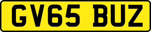 GV65BUZ
