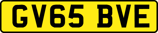 GV65BVE