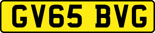GV65BVG