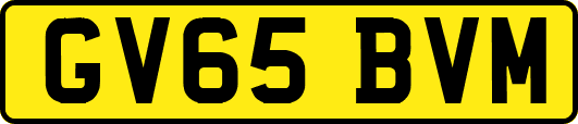 GV65BVM