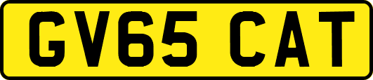 GV65CAT