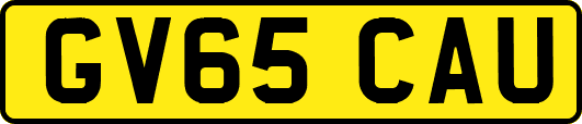 GV65CAU