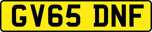 GV65DNF