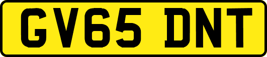 GV65DNT