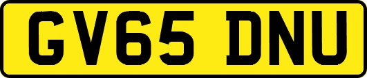 GV65DNU