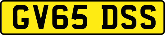 GV65DSS