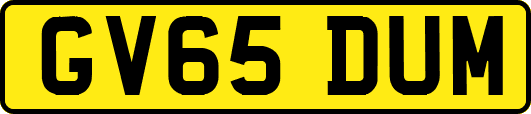 GV65DUM