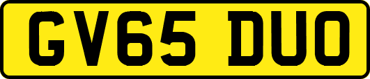 GV65DUO