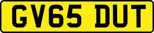 GV65DUT