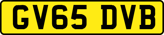GV65DVB