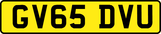 GV65DVU