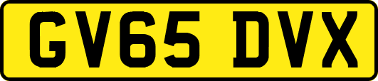 GV65DVX