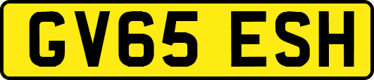 GV65ESH