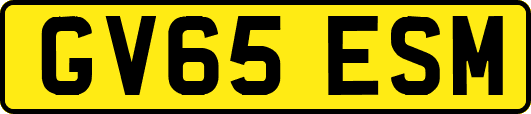 GV65ESM