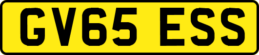GV65ESS