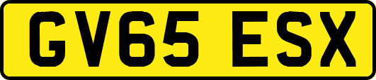 GV65ESX