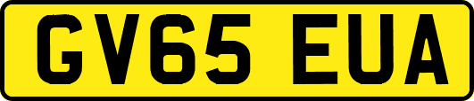 GV65EUA