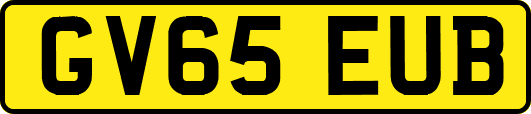 GV65EUB