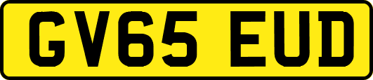 GV65EUD