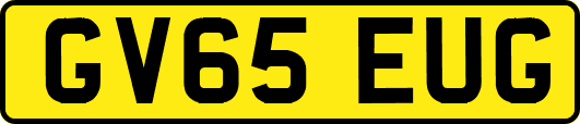 GV65EUG