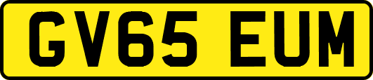 GV65EUM