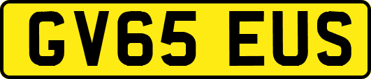 GV65EUS