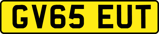 GV65EUT