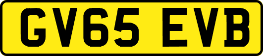 GV65EVB
