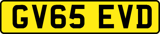 GV65EVD