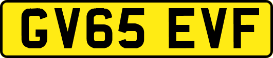 GV65EVF