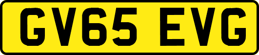 GV65EVG