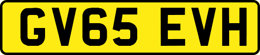 GV65EVH