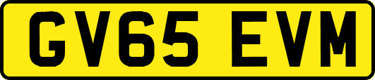 GV65EVM