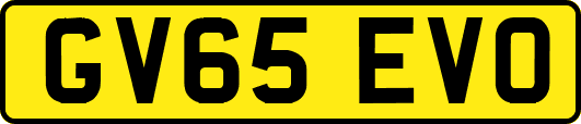 GV65EVO