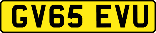 GV65EVU