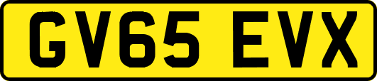 GV65EVX