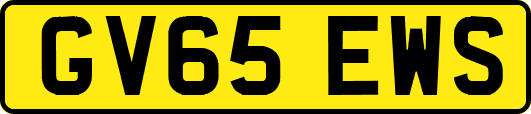 GV65EWS