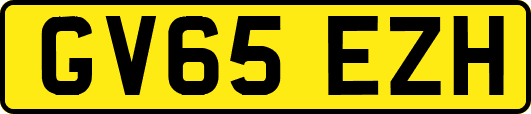 GV65EZH