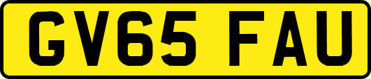 GV65FAU