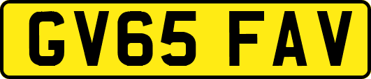 GV65FAV