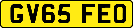 GV65FEO