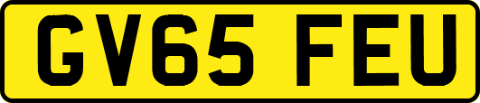 GV65FEU