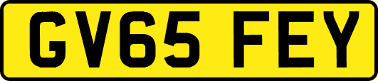GV65FEY