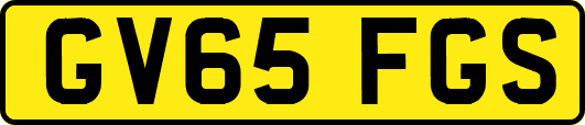 GV65FGS