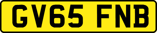 GV65FNB