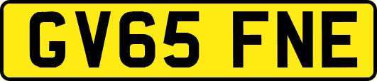 GV65FNE